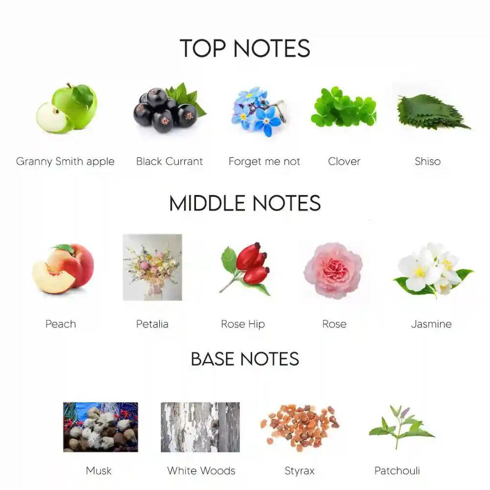 versace dylan blue pour femme set